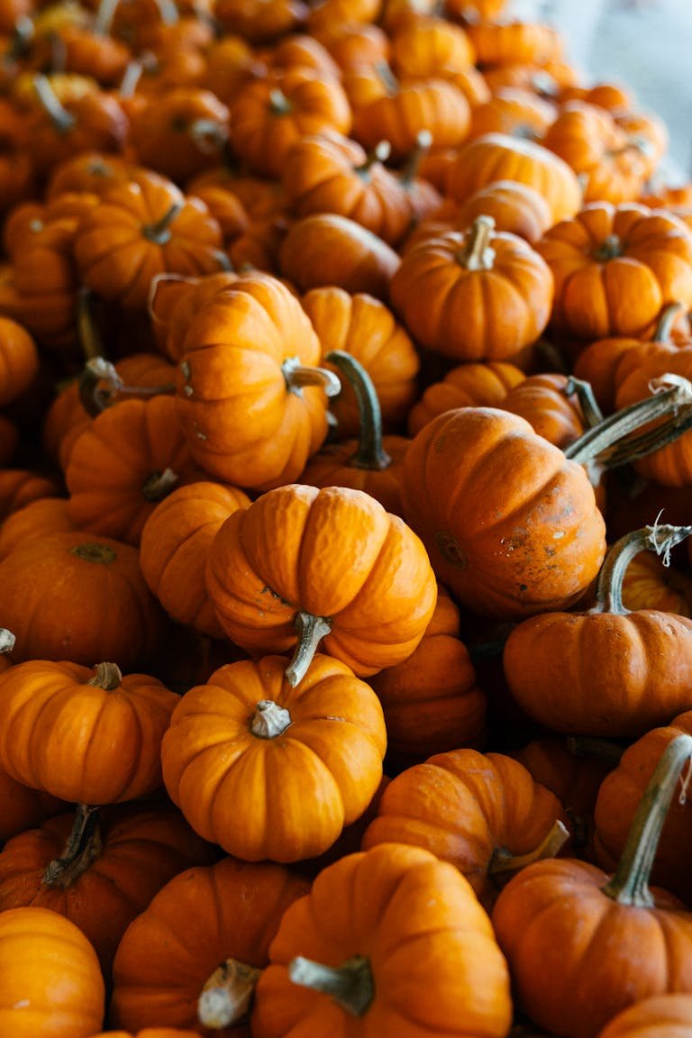 Préparer son corps et son esprit à l’automne : 3 conseils naturopathiques simples et efficaces